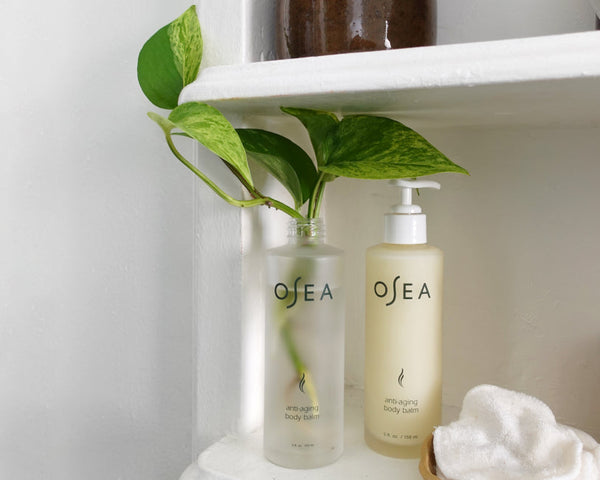 How to Recycle Your OSEA Products