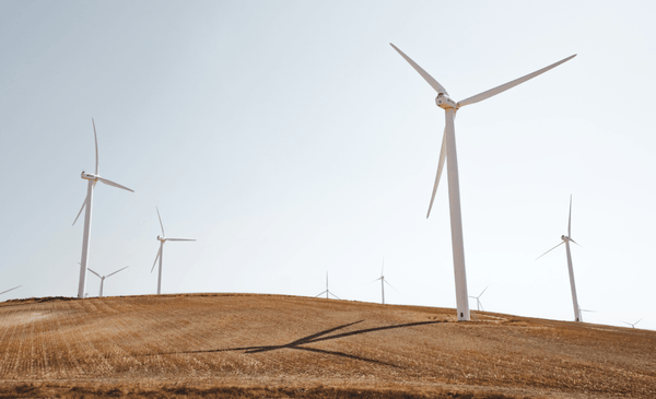 Climate Neutral Certified