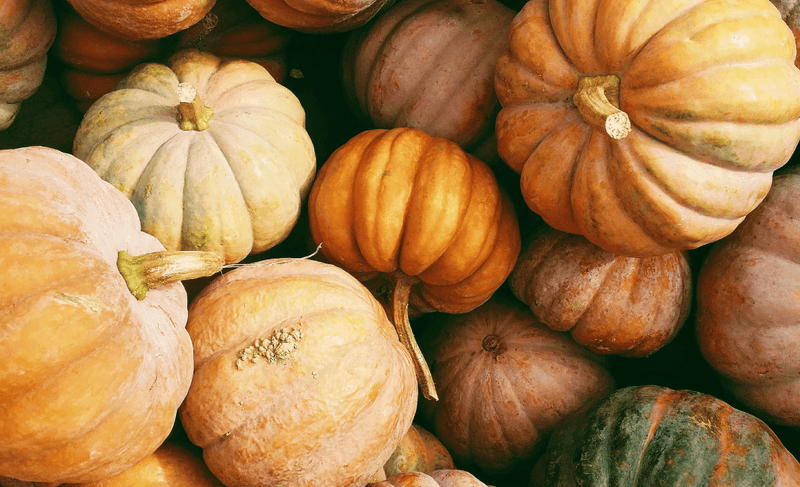 The 11 Best Vegan Thanksgiving Recipes