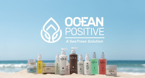We Are Ocean Positive