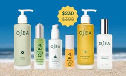 Hack Our Memorial Day Offer
