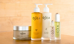 Earn 500 Bonus Points