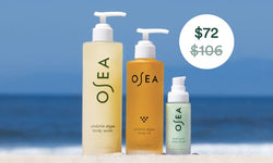 Maximize Your Black Friday Savings With Bundles